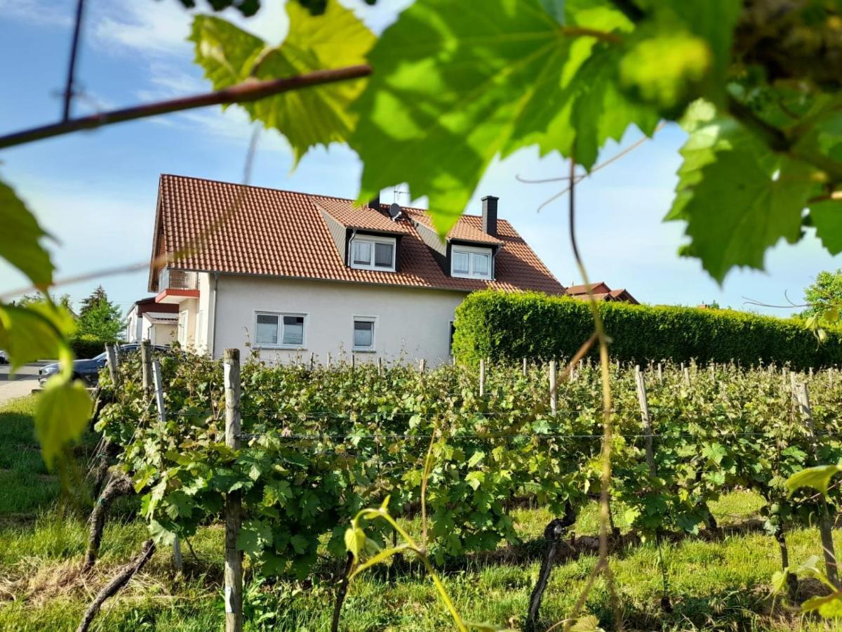 Ferienwohnung Am Schoosberg, Niederkirchen Bei Deidesheim Esterno foto