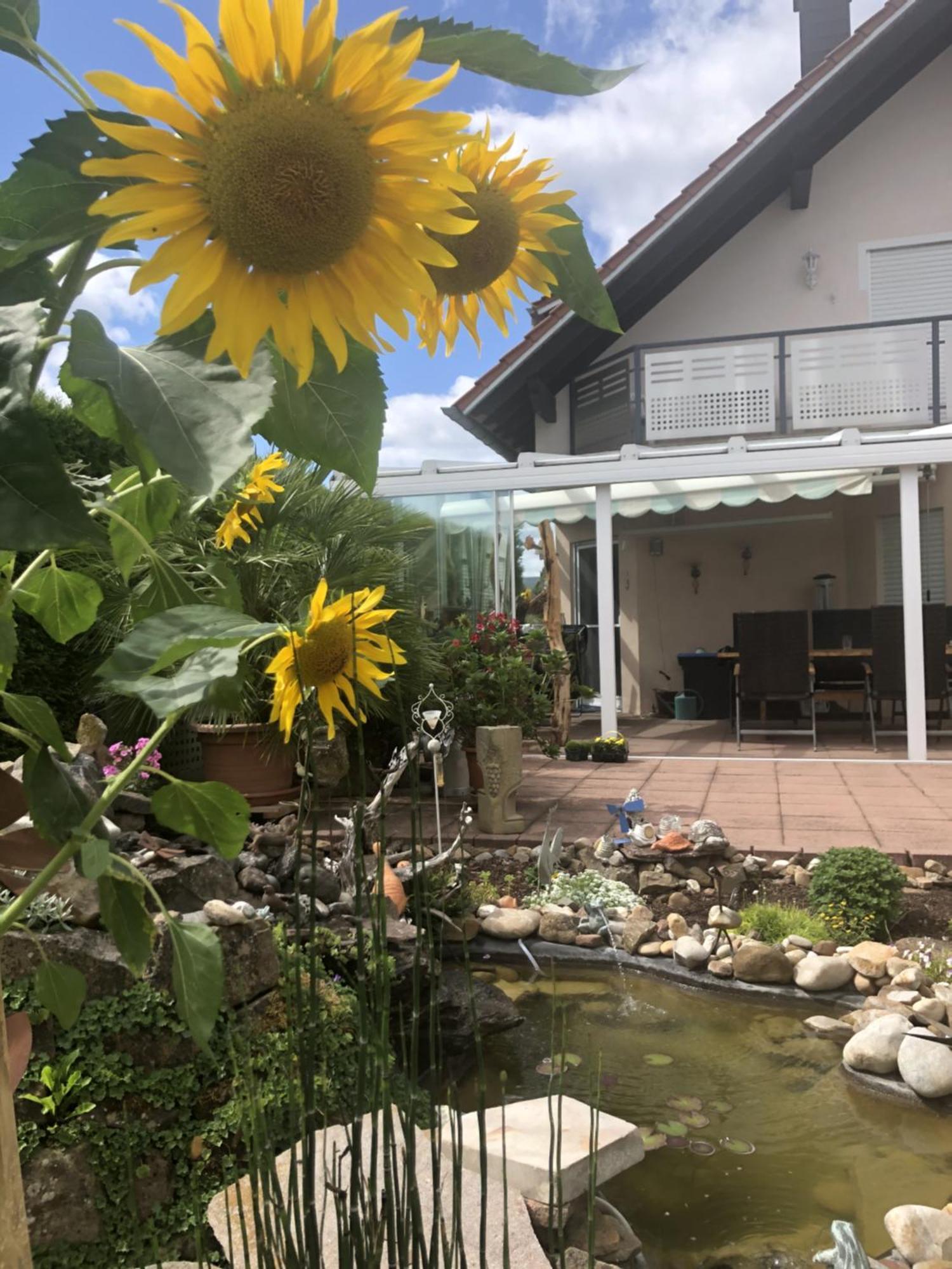 Ferienwohnung Am Schoosberg, Niederkirchen Bei Deidesheim Esterno foto